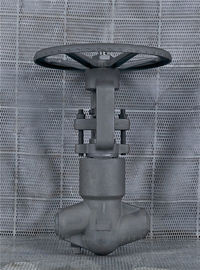PSB gesmeed stalen bolk klep hoge druk CL2500 stopklep A105 F11 F22
